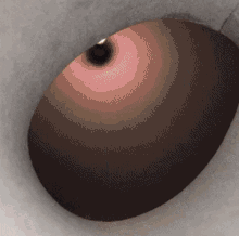 tenor.gif