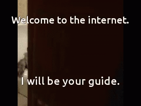 bienvenue sur internet