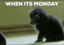 Image result for monday blues gif