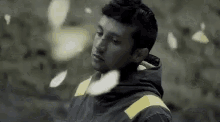 tenor.gif