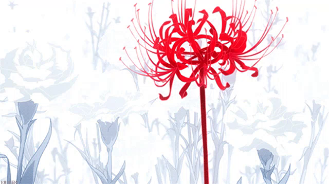 Red Spider Lily Flower Gif Redspiderlily Flower Bloom Discover Share Gifs