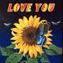 Download Sunflower Love Gifs Tenor