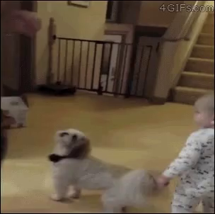 Post reply image
