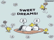 Snoopy Sleep Gifs Tenor