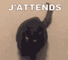 J'ATTENDS GIF - Jattends Attendre - Discover & Share GIFs