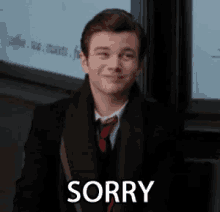 Gilly Sorry Gifs Tenor