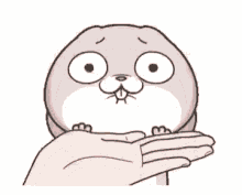 Cute Rabbit Gifs Tenor
