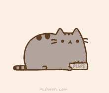 pusheen cat eating pizza