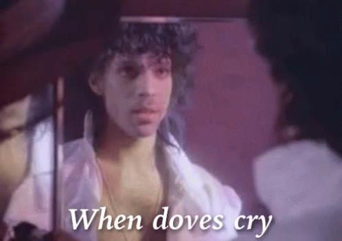 when doves cry