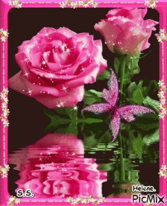 Pink Roses GIF - Pink Roses - Discover & Share GIFs