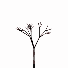 Resultado de imagem para árvore animated gifs