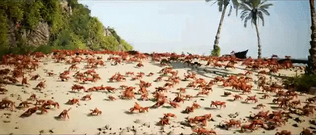 Crabs Rave Gif Crabs Rave Crab Discover Share Gifs