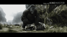 King Kong Kong Battles The TRexes GIF - KingKong KongBattlesTheTRexes Ggkong GIFs