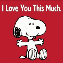 Snoopy ILove You This Much GIF - Snoopy ILoveYouThisMuch FeelBetter GIFs