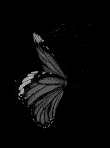 Butterfly GIFs | Tenor