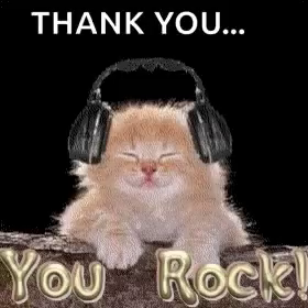 You Rock Cat Gif You Rock Cat Thank You Discover Share Gifs