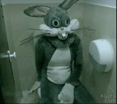 bunny in bathroom