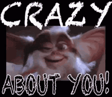 I M Crazy About You Gifs Tenor