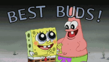 Image result for best buds gif
