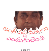 Antha Pedha Maatalu Endukulendi Sticker GIF - AnthaPedhaMaataluEndukulendi Sticker Brahmi GIFs