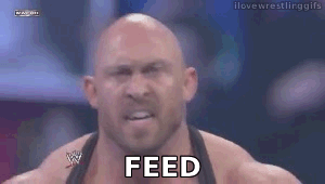feed him more