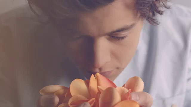 Harry Fragrance Gif Harrystyles Flowers Smelling Discover Share Gifs