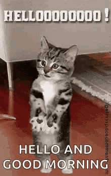 Featured image of post Good Morning Sunshine Gif Funny