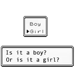 Gender of the Baby