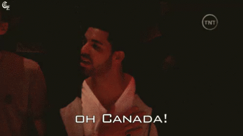 Image result for drake with canadian flag