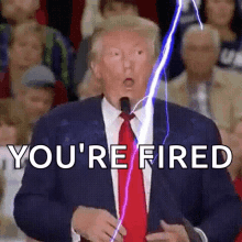 images Apprentice You're Fired Gif breatheheavy com
