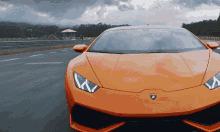 Lamborghini GIFs | Tenor