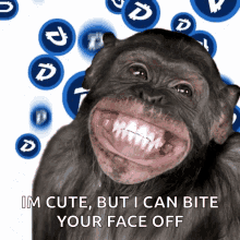 Chimp Smiling Gifs Tenor