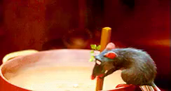 レミー ディズニー 料理 ネズミ Gif Ratatouille Discover Share Gifs