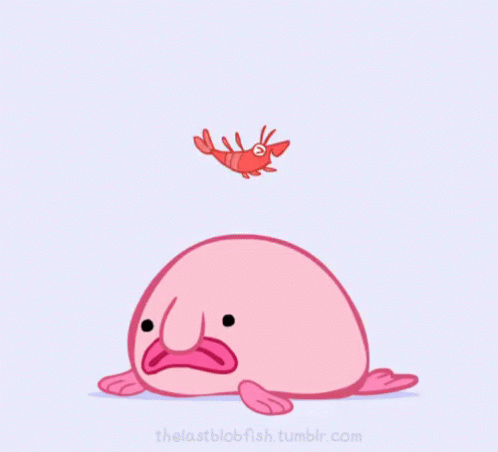 Blobfish GIF - Blobfish - Discover & Share GIFs