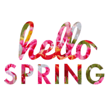 Hello Spring First Day Winter GIF - HelloSpring FirstDayWinter - Discover &  Share GIFs