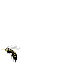 Wasp Gifs Tenor