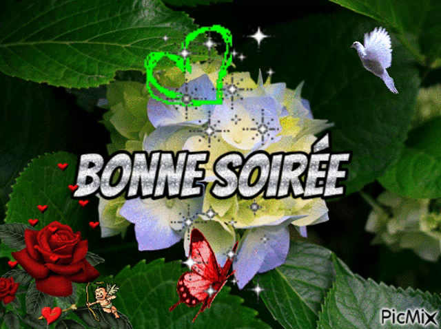 Bonne Soiree Gifs Tenor