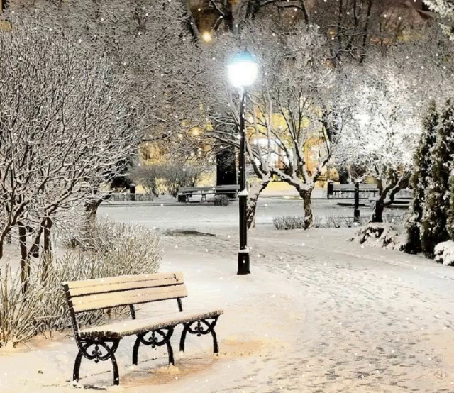 Sitting Bench GIF - Sitting Bench Snowy - Discover & Share GIFs