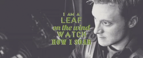 I'm a leaf in the wind