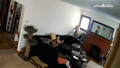 untitled.gif
