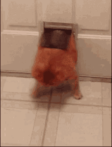All fantasy Cheating fat wife gif apologise, but Cheating fat wife gif seems