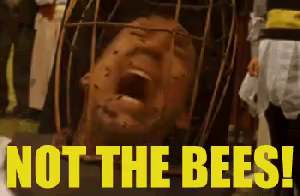 Not The GIF - Not The Bees - Discover & Share GIFs
