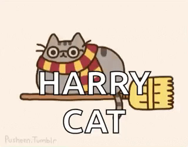 harry potter pusheen cat