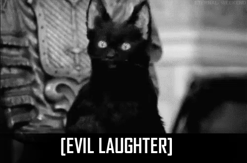 Devilish Cats