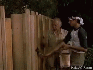painting fence