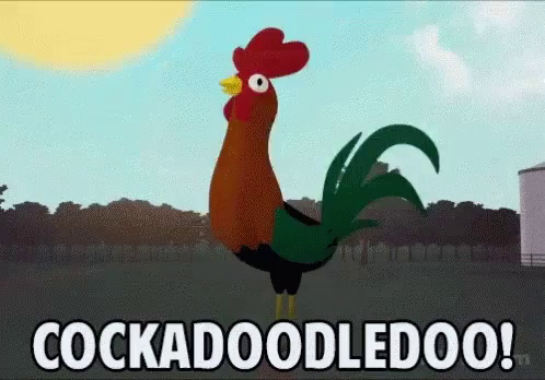 Good Morning Chicken GIF - Good Morning Chicken Cockadoodledoo - Discover &  Share GIFs