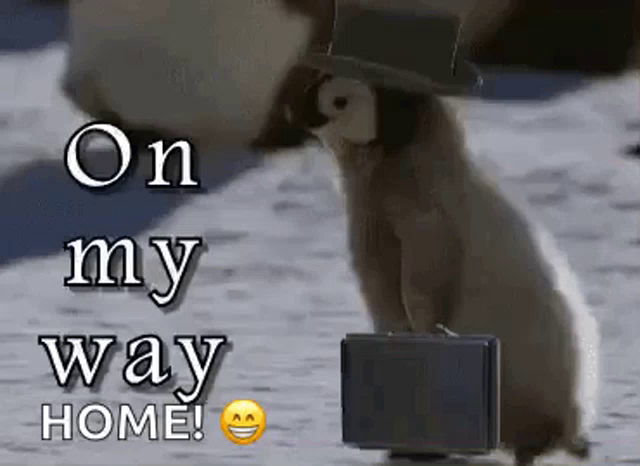 On My Way Home Gifs Tenor