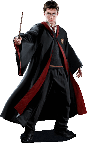 Harry Potter Hogwarts GIF - HarryPotter Hogwarts Wizard - Discover ...