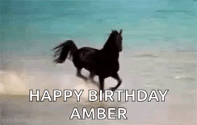 Horse Happy Birthday Amber Gif Horse Happybirthdayamber Runninghorse Discover Share Gifs