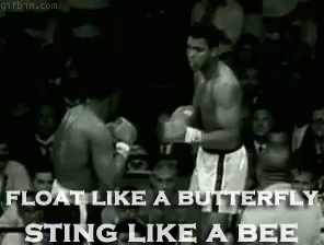 Float Like A Butterfly Sting Like A Bee Muhammad Ali Gif Muhammadali Ali Butterfly Discover Share Gifs
